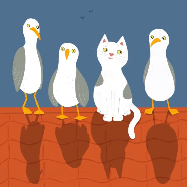 Seagulls and cat