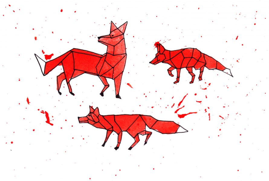 Foxes geometric