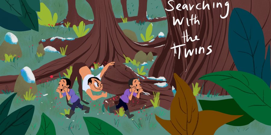 Searching with the twins_3