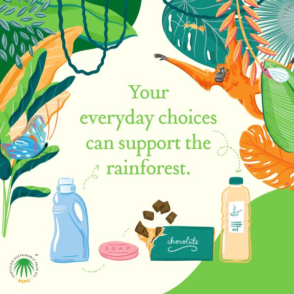 Illustrations for RSPO sustainability campaign