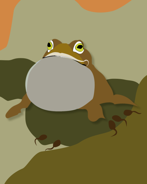 FROG AND TADPOLES