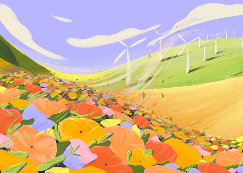 Wind-turbine-flower-fields