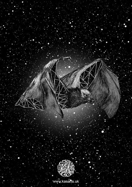 bat-geo-flight-series-black-kasarts