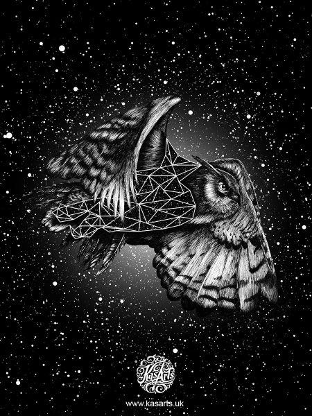 owl-geo-flight-series-black-kasarts