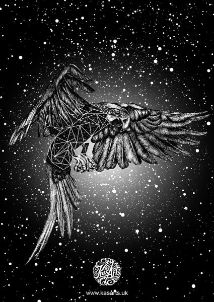 parrot-geo-flight-series-black-kasarts