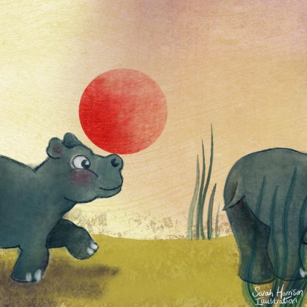 Hippo - ©SarahHarrisonIllustration