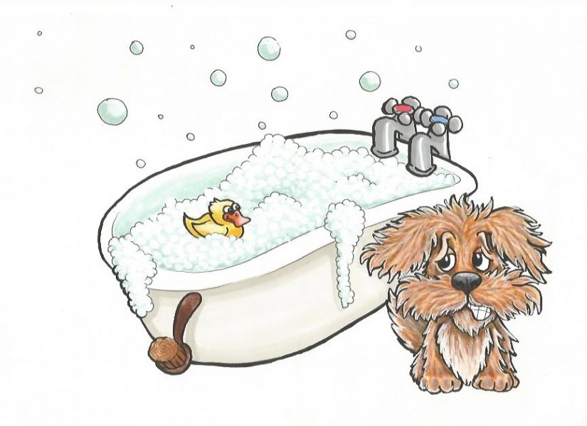 Bathtime from 