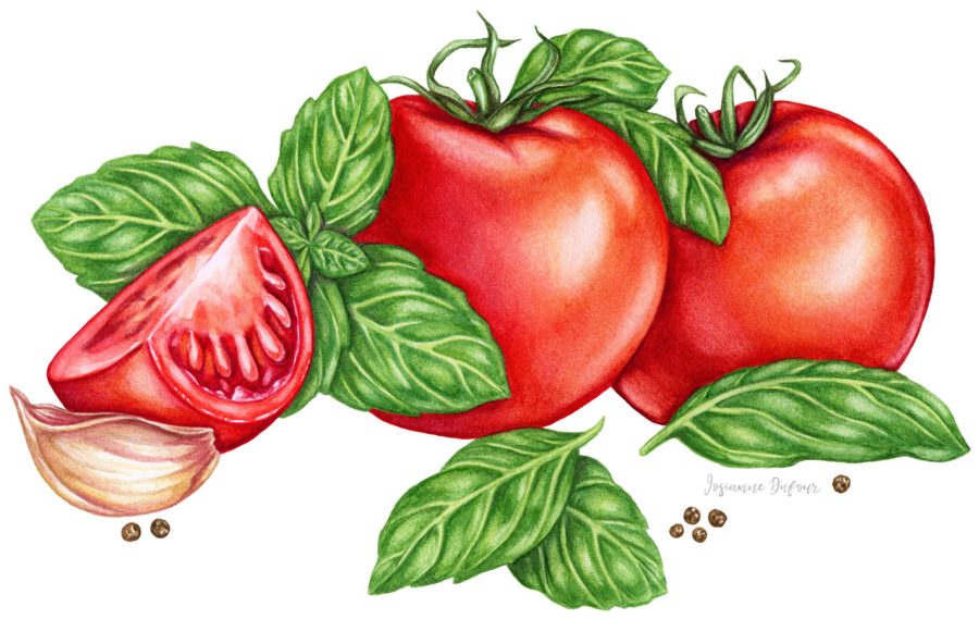 Illustration for the Tomato & Basil Sauce of Life Smart
