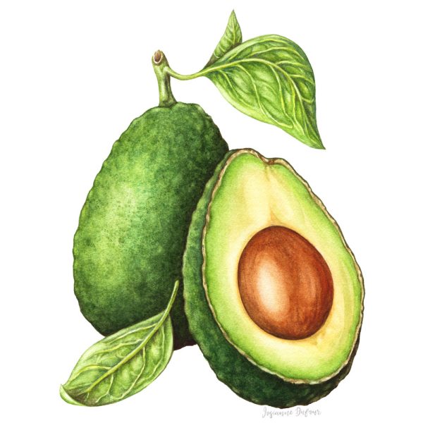 Avocados - Food packaging for oils