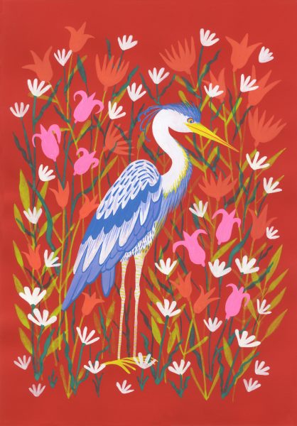 Heron illustration