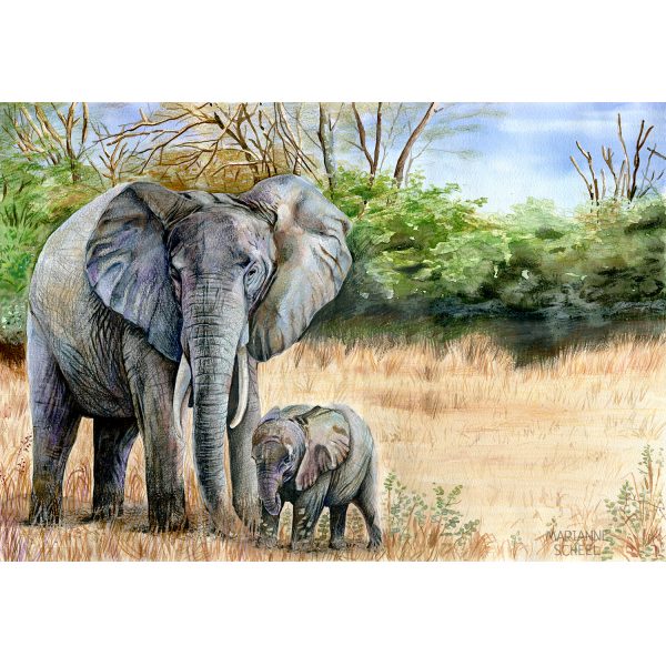 elefant med unge