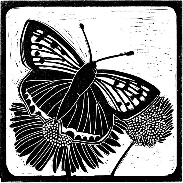 National Trust’s Sutton Hoo butterfly linocut