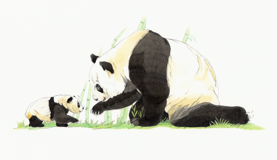 Mommy panda