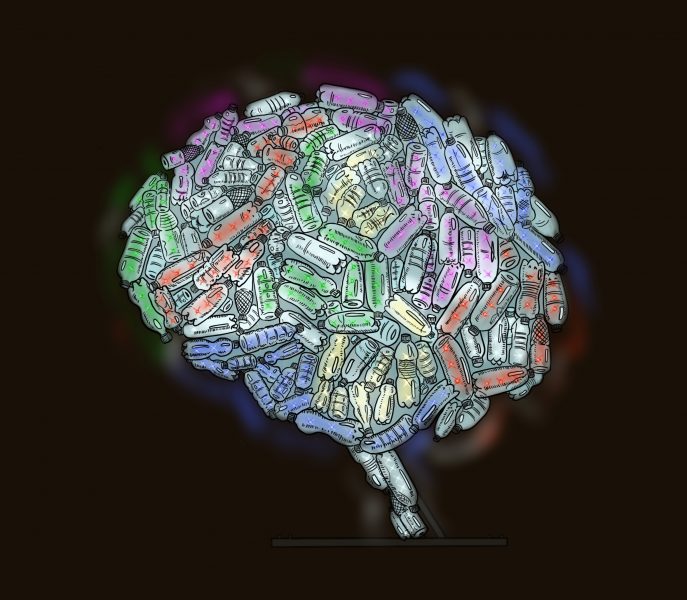 brain plasticity colour