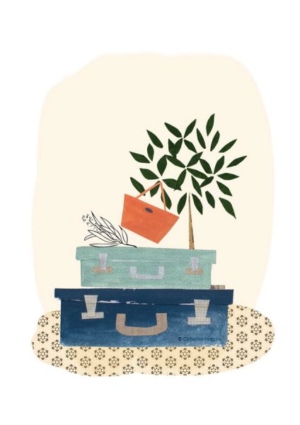 Travelling Light - Luggage - Plant - Bay Tree