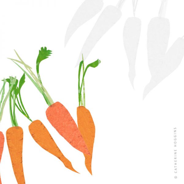 Catherine-Hoggins---Food-illustration---Carrots-1126