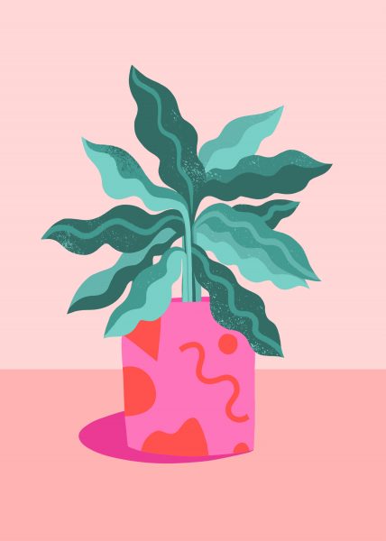 Abstract Plant