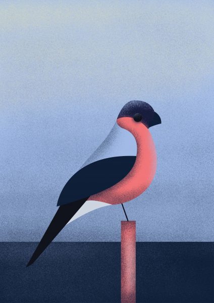 Bullfinch - Personal Series Project