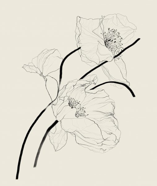 Growth