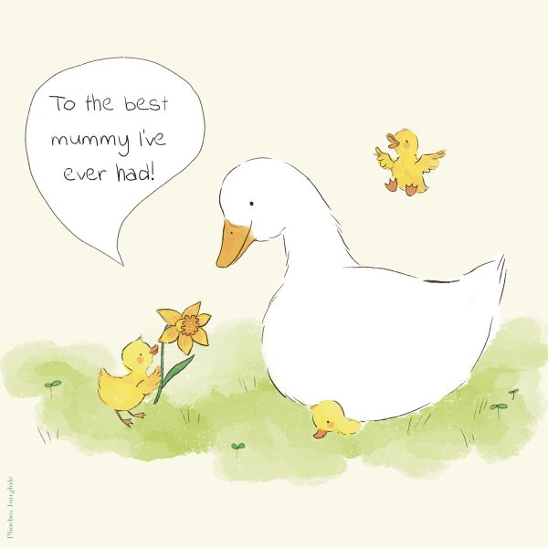 Mummy duck and duckllings