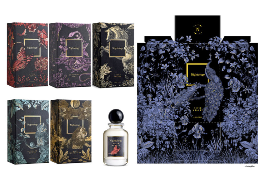 Nightology Parfum Illustrations and packaging