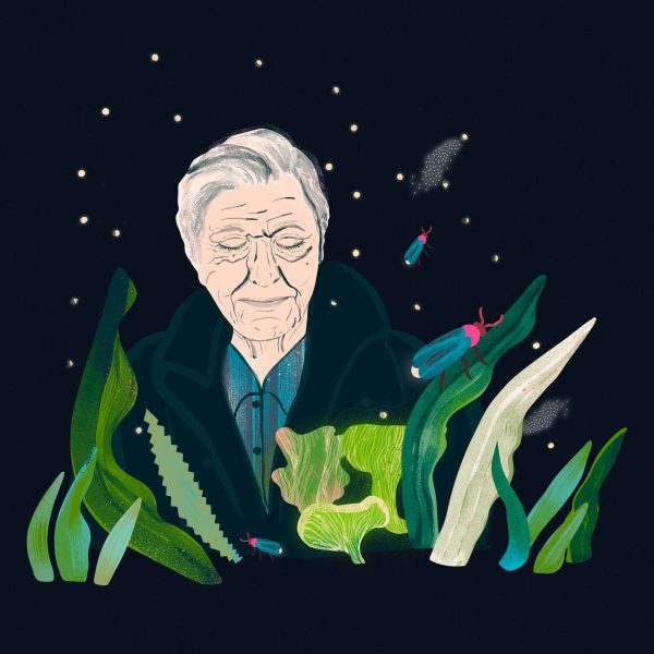 Portrait of David Attenborough for Harper Collins