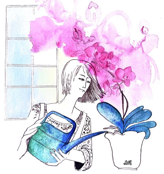 Watering plants