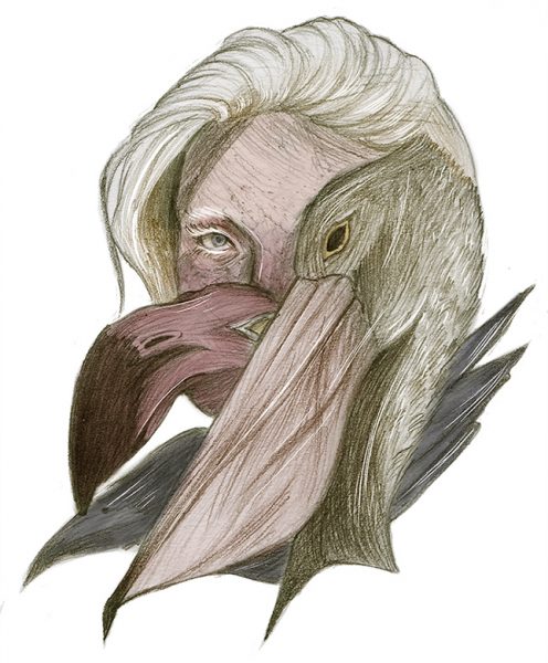 Birds of Joy
