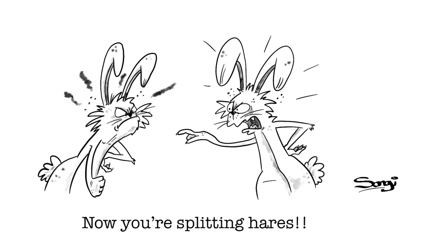 Splitting Hares