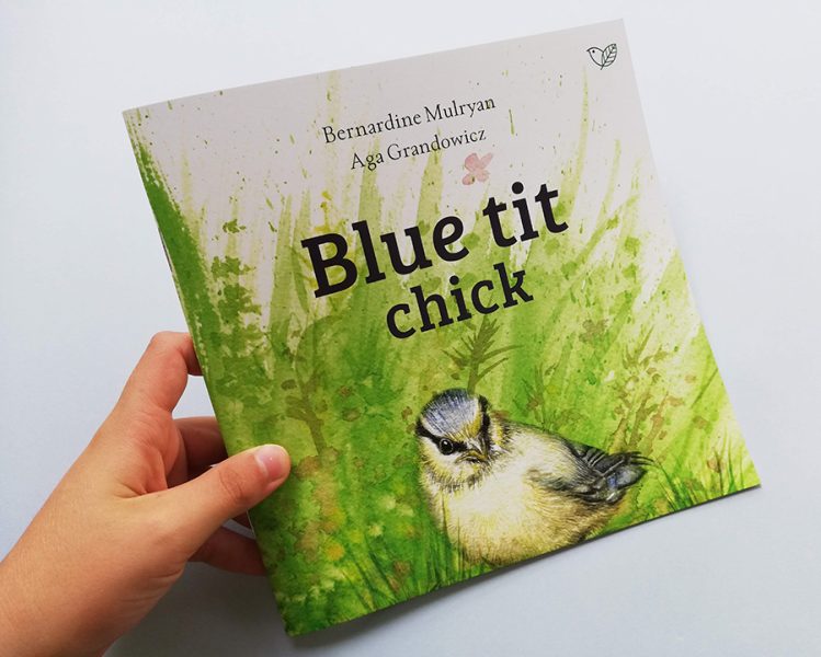 Cover of ‘Blue tit chick’ book published by Natural World Publishing in June 2021.