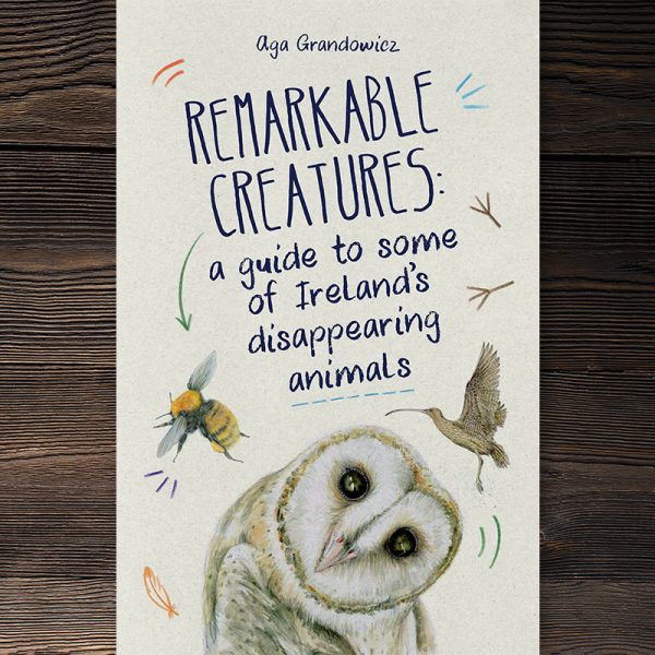 Aga Grandowicz_'Remarkable Creatures: a guide to some of Ireland’s disappearing animals' book. Text, illustrations, design.