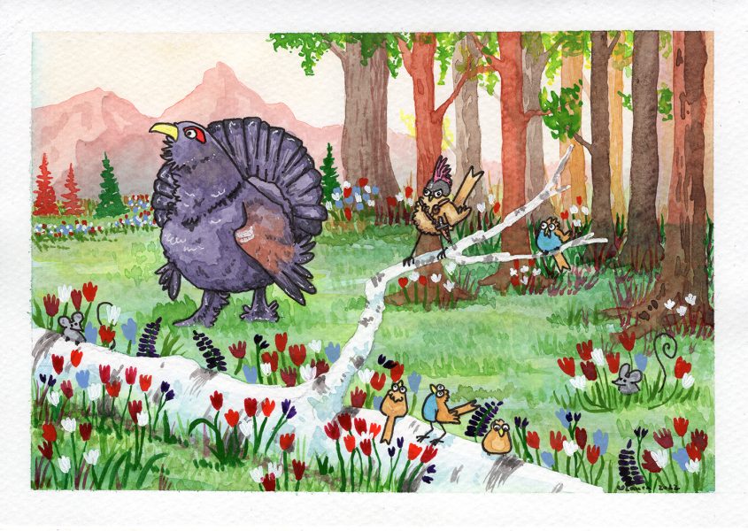 Capercaillie and the tit knight