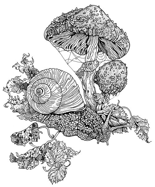 Snail and fly agaric mushrooms