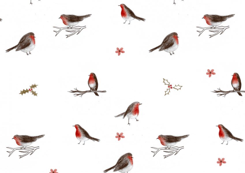 Christmas robins