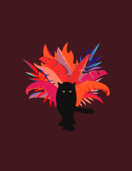 Amazon on fire