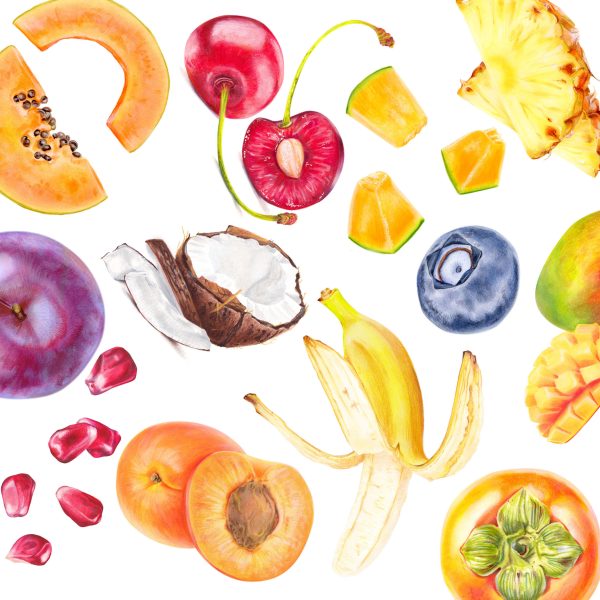 Colourful Fruit illustrations