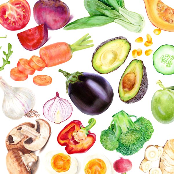 Various Vegetable Illustrations