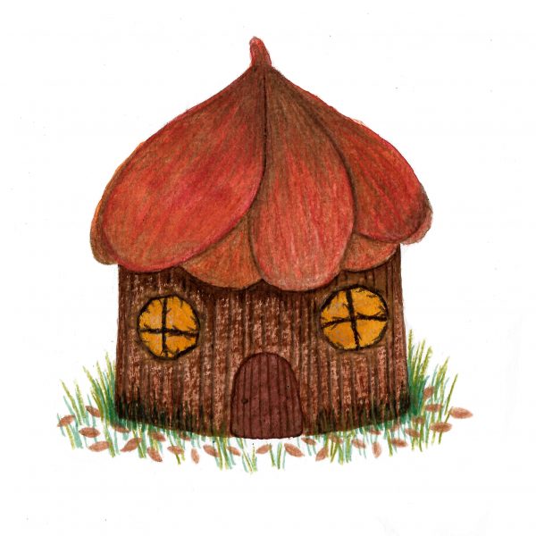 The little house in the woods
