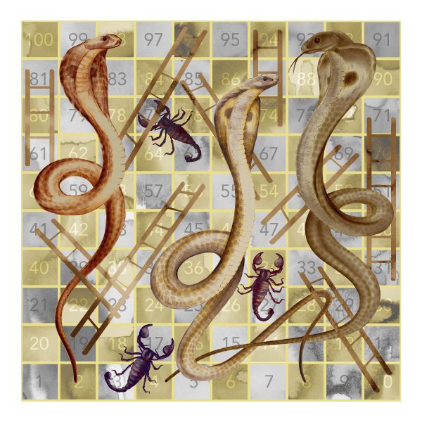 The Real Snakes & Ladders