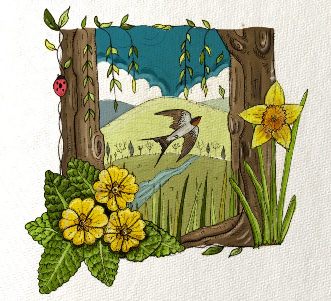 Primrose-spring-Illustration