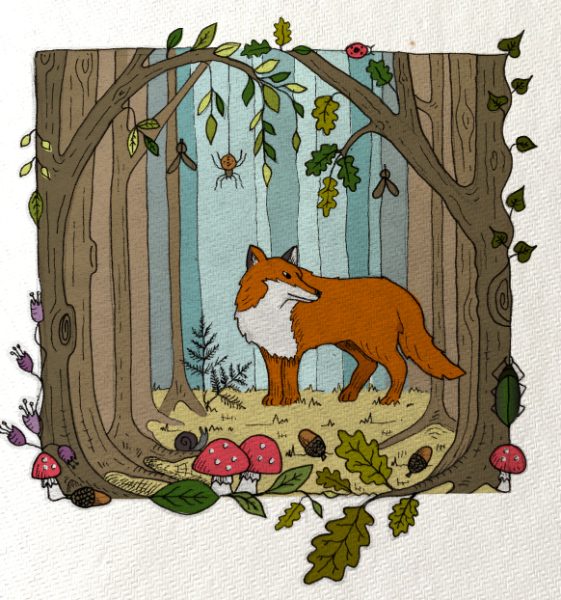 Woodland-Illustration