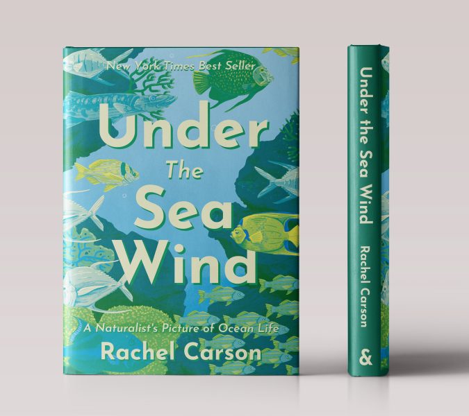 Mock Cover for 'Under the Sea Wind'