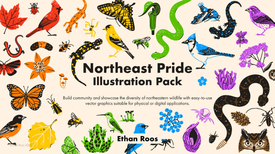 Pride Illustration Pack