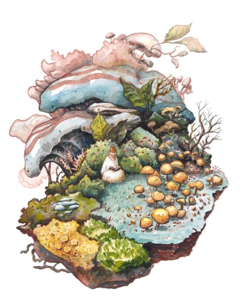 Funghi Nook