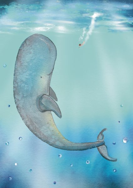 Whale_Updated