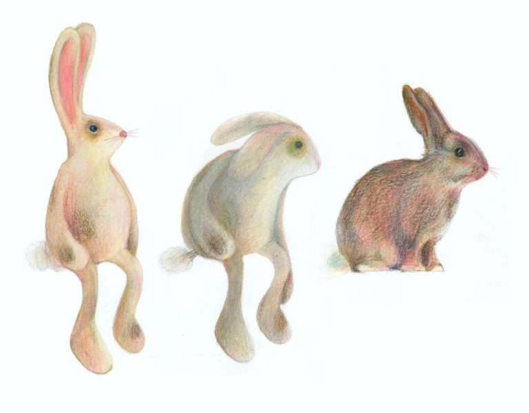 Velveteen Rabbit Transformation