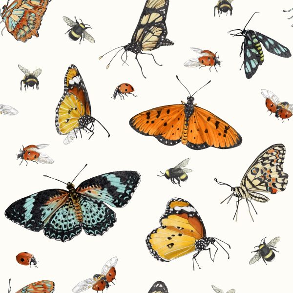 Butterfly Pattern