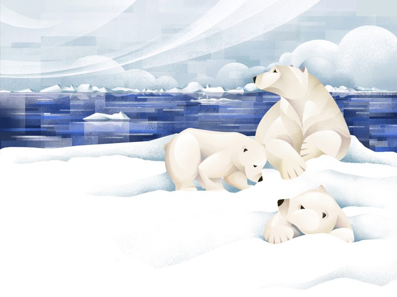 The price of extinction - Polar Bear