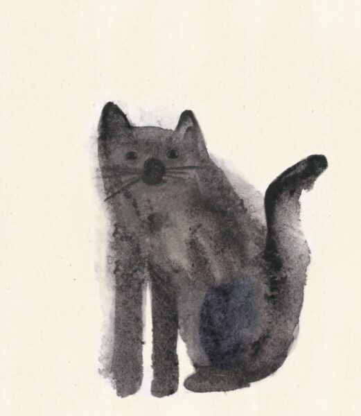 Cat in the Sketchbook