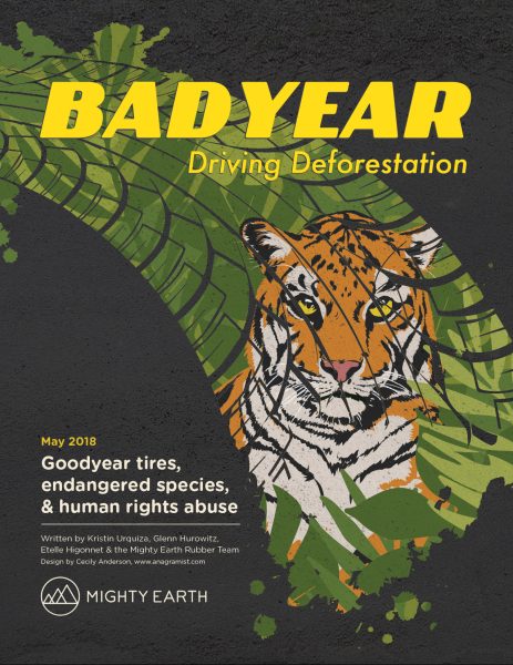 Bad Year - Driving Deforestation